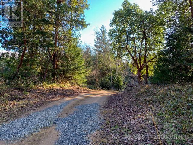 21560577-LargePhoto-10