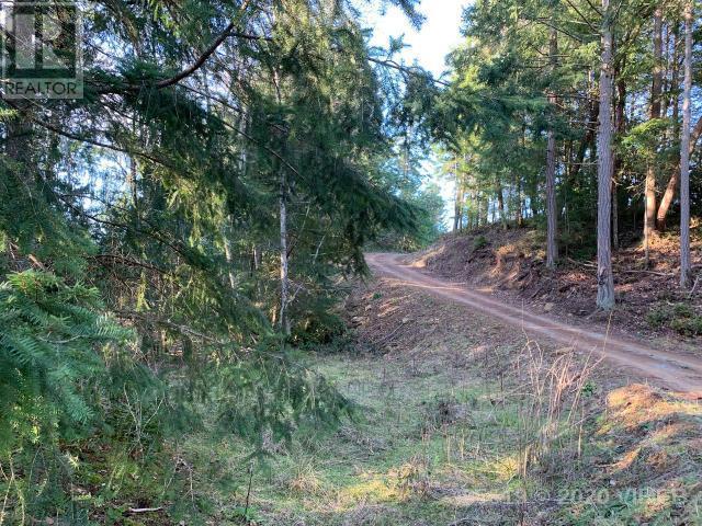 21560577-LargePhoto-11