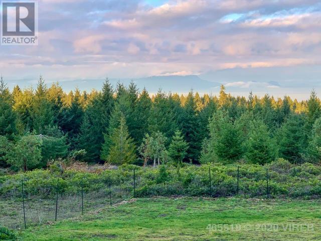 21560577-LargePhoto-5