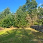 21564200-LargePhoto-1