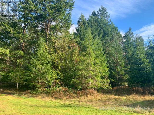 21564200-LargePhoto-2