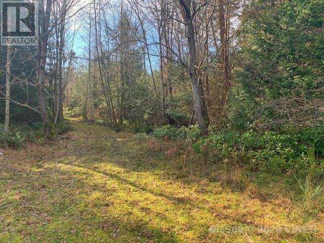 21564200-LargePhoto-5