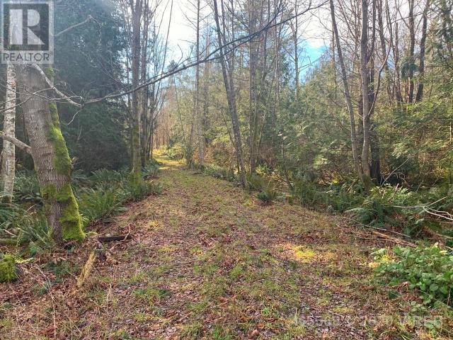 21564200-LargePhoto-6