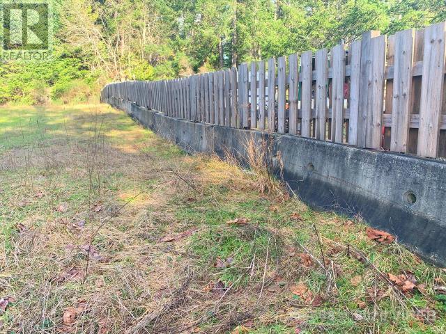 21564200-LargePhoto-7