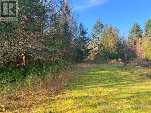 21564200-LargePhoto-9