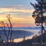 21706844-LargePhoto-1
