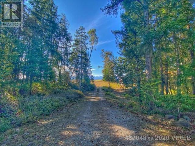 21706844-LargePhoto-2