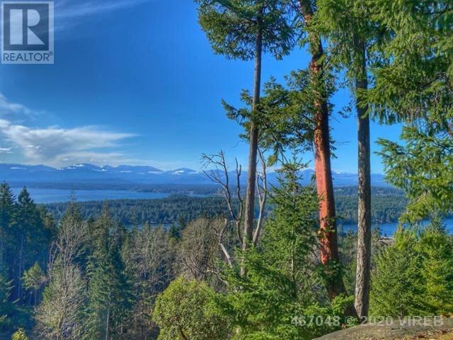 21706844-LargePhoto-8