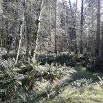 21739229-LargePhoto-1