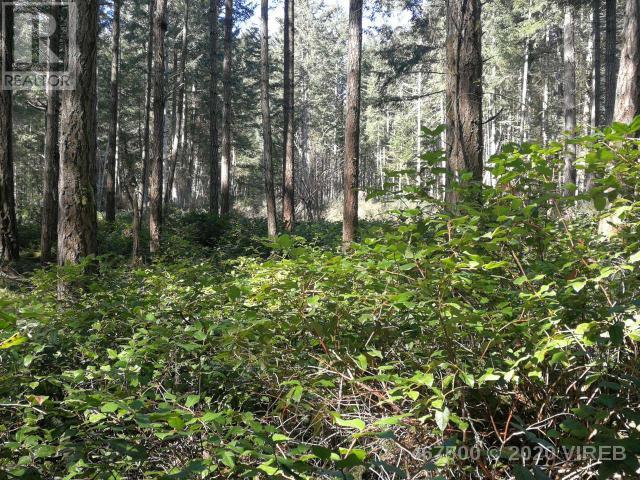 21739229-LargePhoto-10