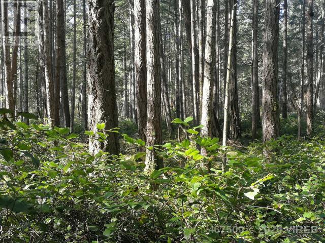 21739229-LargePhoto-11