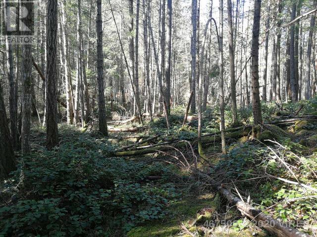 21739229-LargePhoto-13