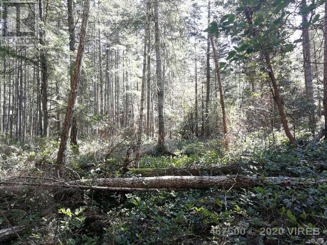 21739229-LargePhoto-2