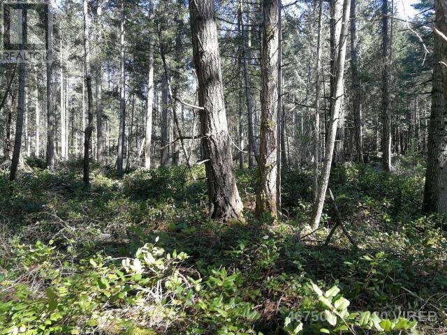 21739229-LargePhoto-3