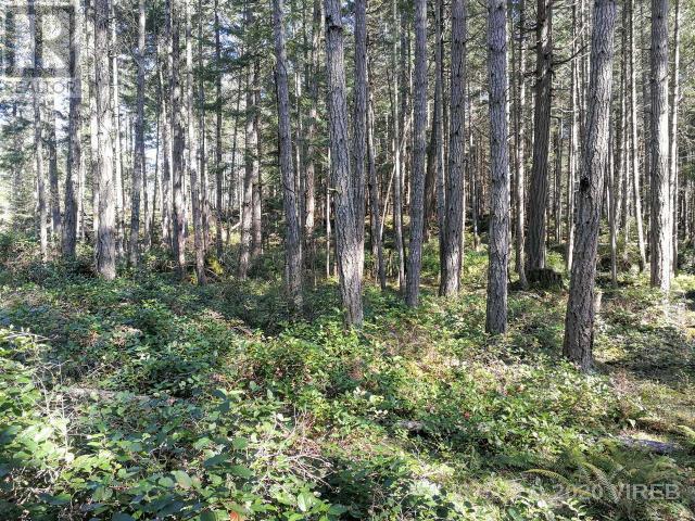 21739229-LargePhoto-4