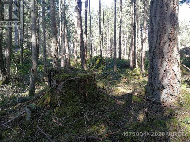 21739229-LargePhoto-7