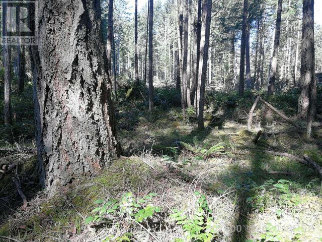 21739229-LargePhoto-8