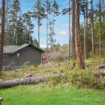 21739235-LargePhoto-1