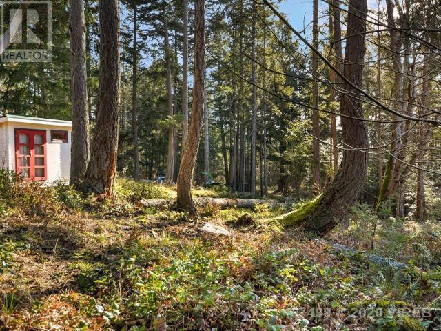 21739235-LargePhoto-2