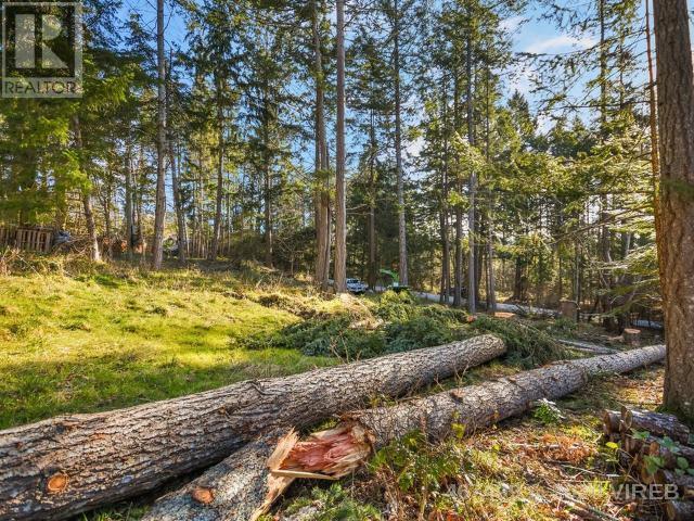 21739235-LargePhoto-4