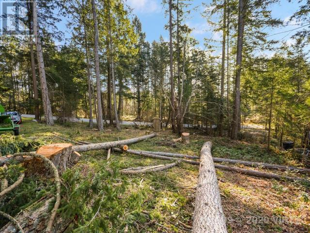 21739235-LargePhoto-5