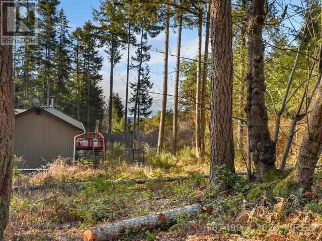 21739235-LargePhoto-7