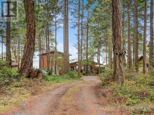 21753421-LargePhoto-5