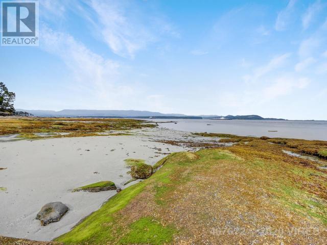 21753421-LargePhoto-52