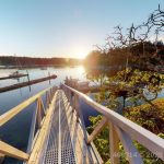 21806117-LargePhoto-1