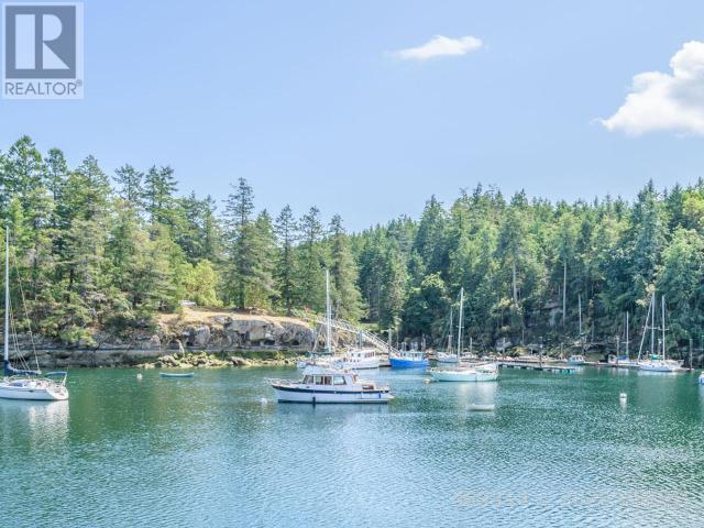 21806117-LargePhoto-15