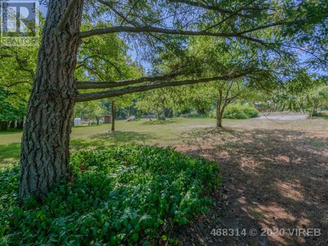 21806117-LargePhoto-18