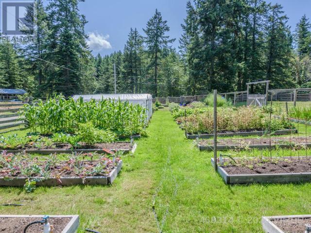 21806117-LargePhoto-21