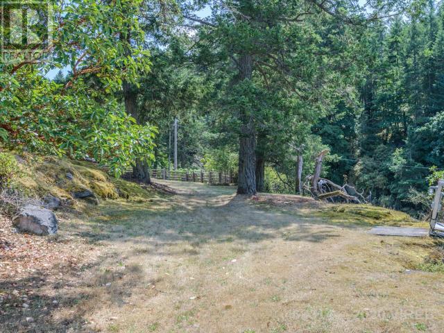 21806117-LargePhoto-34