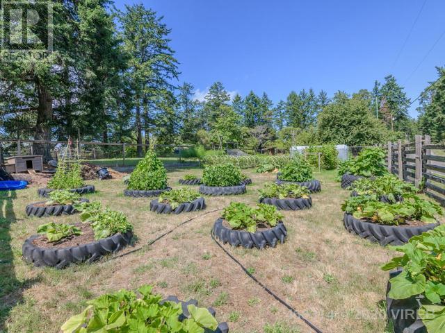 21806117-LargePhoto-44