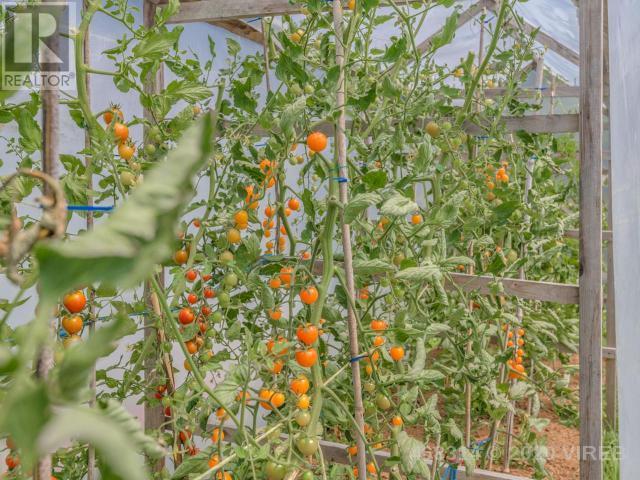 21806117-LargePhoto-45