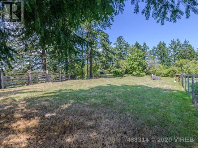 21806117-LargePhoto-49