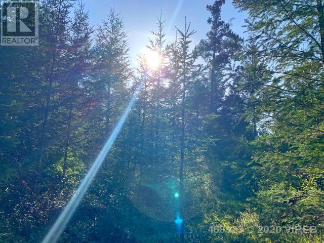 21852636-LargePhoto-10