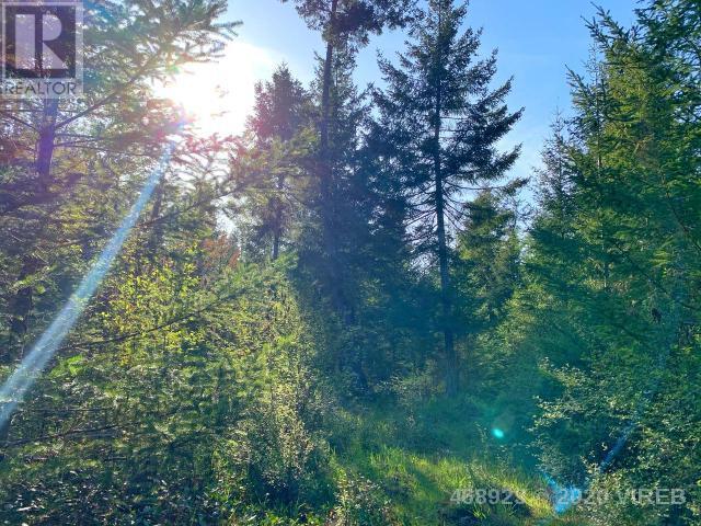 21852636-LargePhoto-12