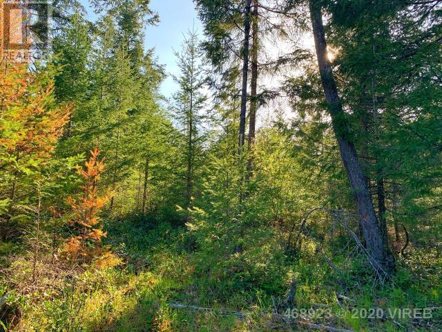 21852636-LargePhoto-14