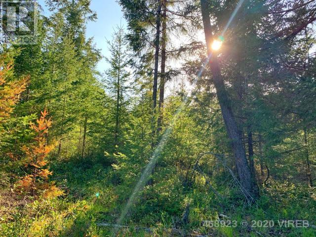 21852636-LargePhoto-15