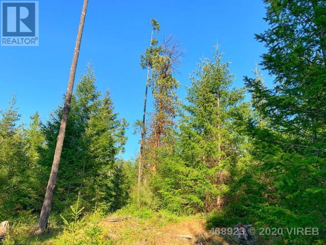 21852636-LargePhoto-16