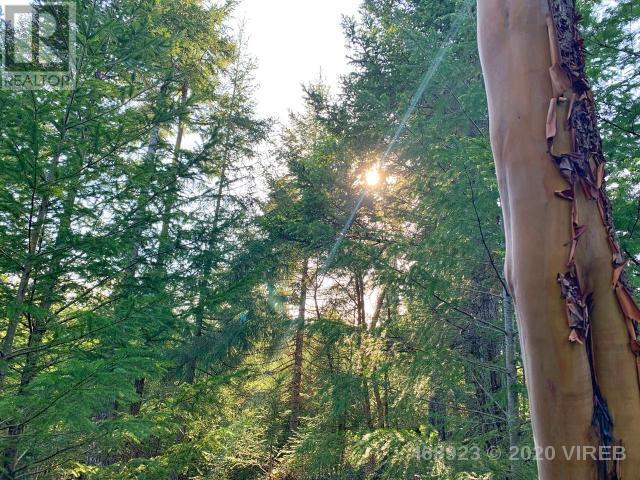 21852636-LargePhoto-18