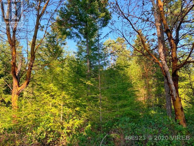 21852636-LargePhoto-19