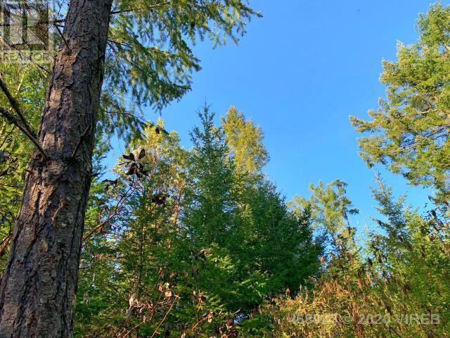 21852636-LargePhoto-2