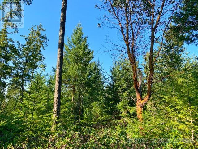 21852636-LargePhoto-20