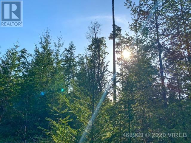 21852636-LargePhoto-21