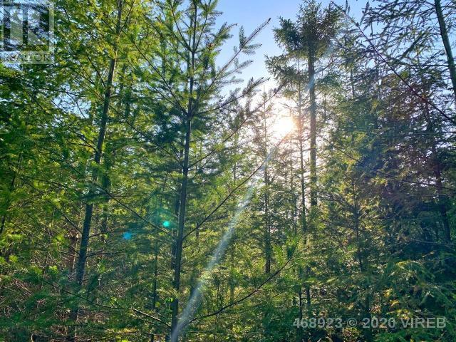 21852636-LargePhoto-3