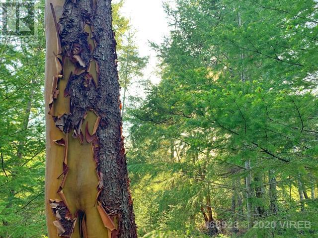 21852636-LargePhoto-5