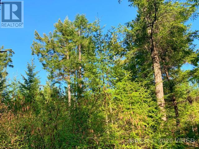 21852636-LargePhoto-6