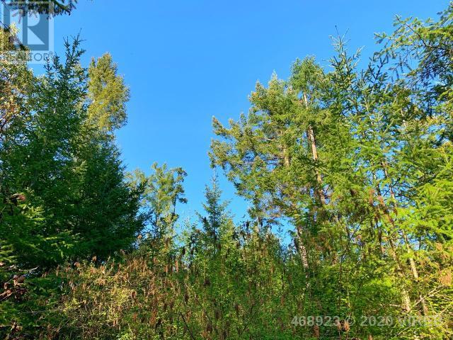 21852636-LargePhoto-7